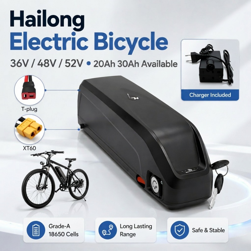 Wszechstronna bateria Hailong, – Ebike Battery 48V 20Ah Hailong recenzja i cena